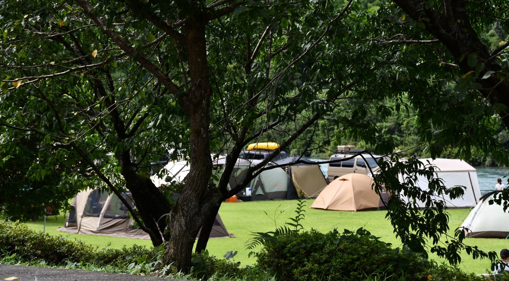 高知県のキャンプ場